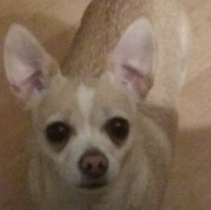 Meet your Posher, Jonie